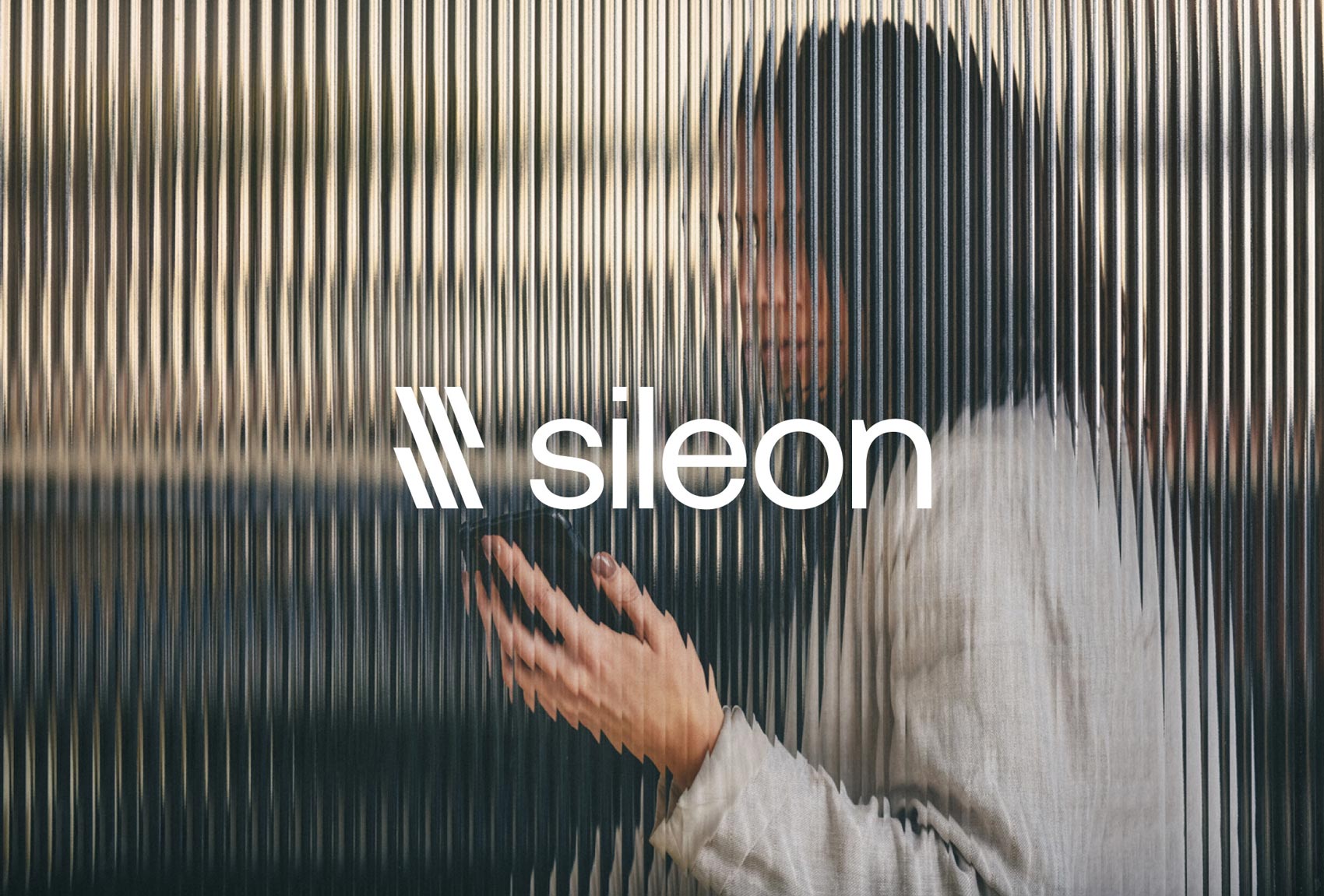 Sileon on Visual Journal