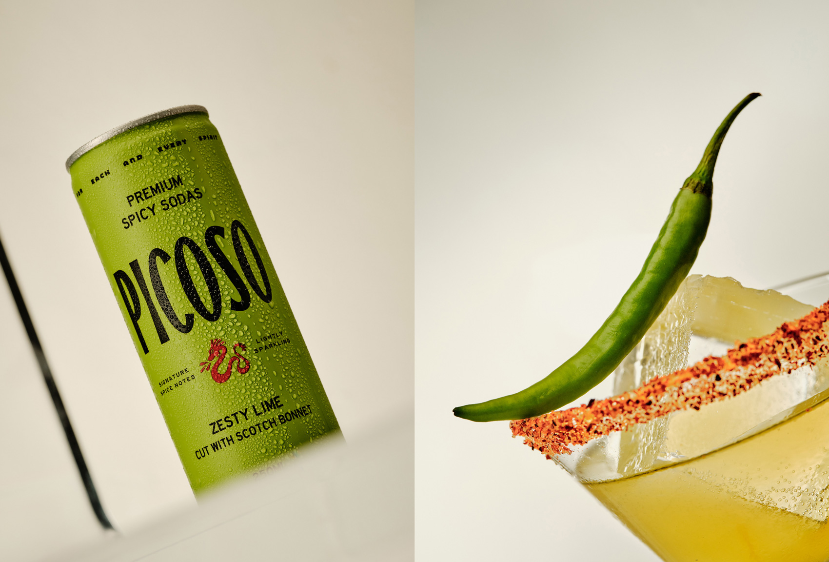 Picoso on Visual Journal