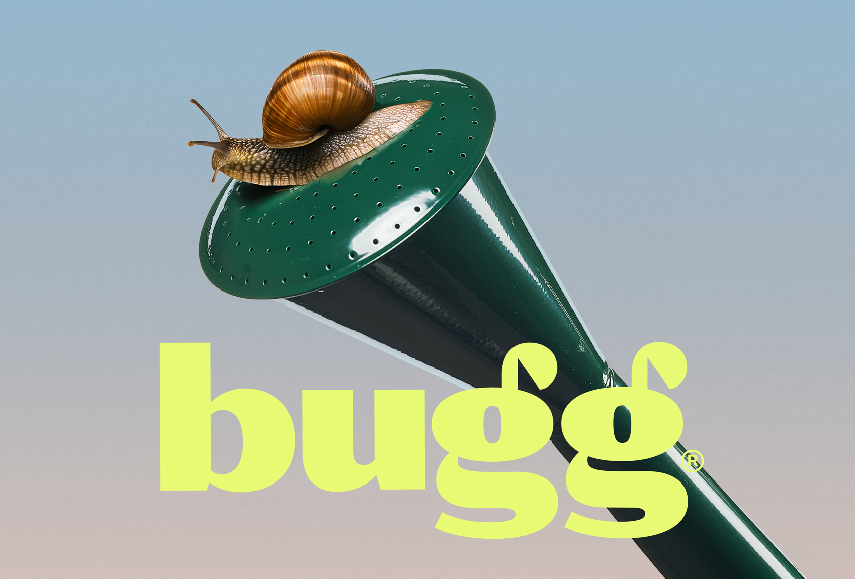 Bugg on Visual Journal