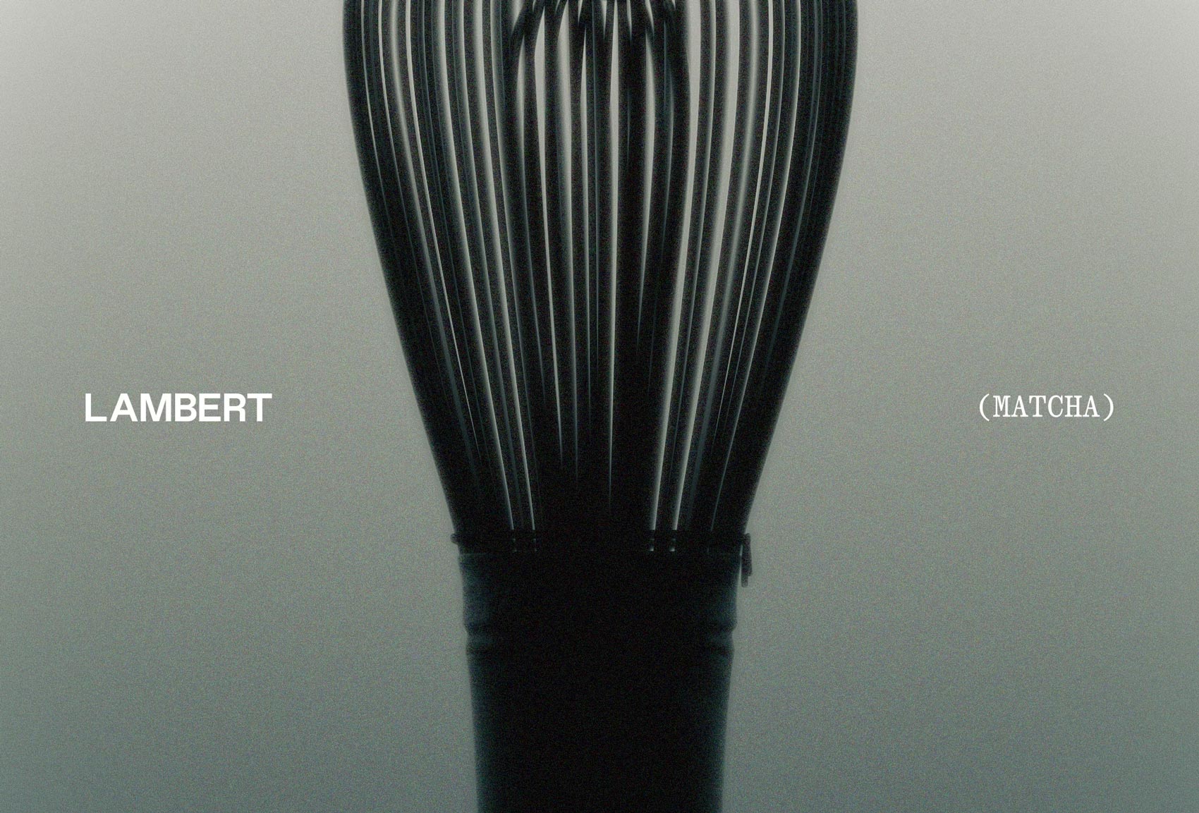 Lambert on Visual Journal