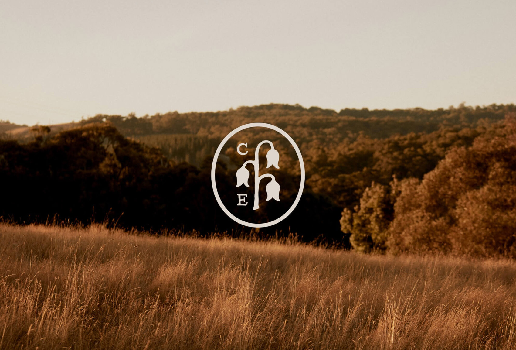 Carrajung on Visual Journal