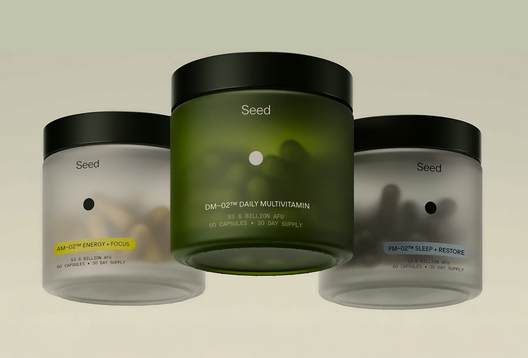 seed on Visual Journal