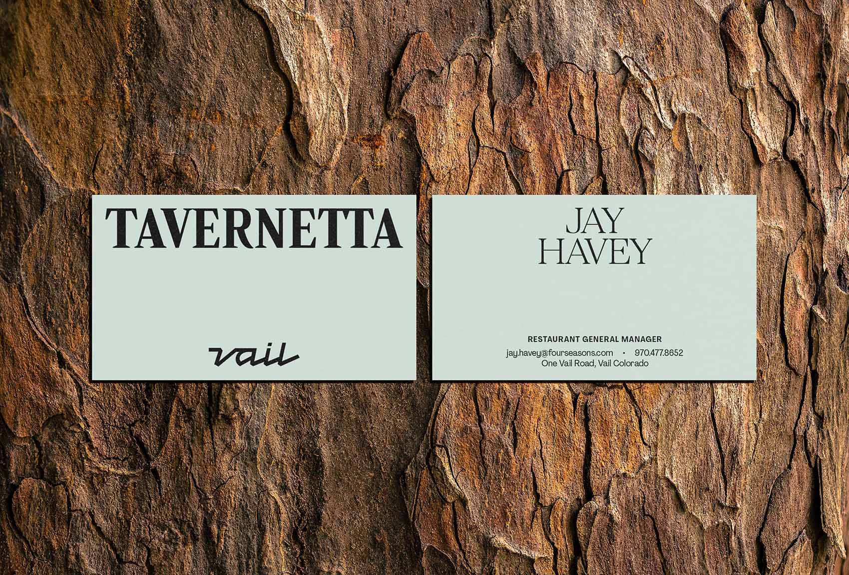 Tevernetta Vail on Visual Journal