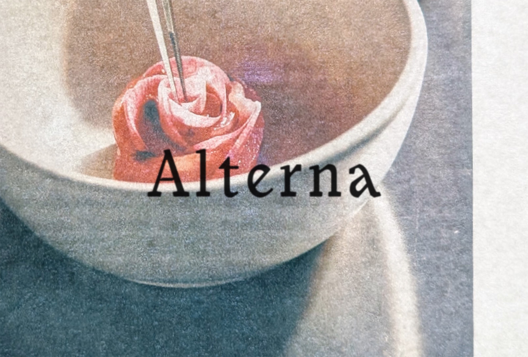 Alterna on Visual Journal