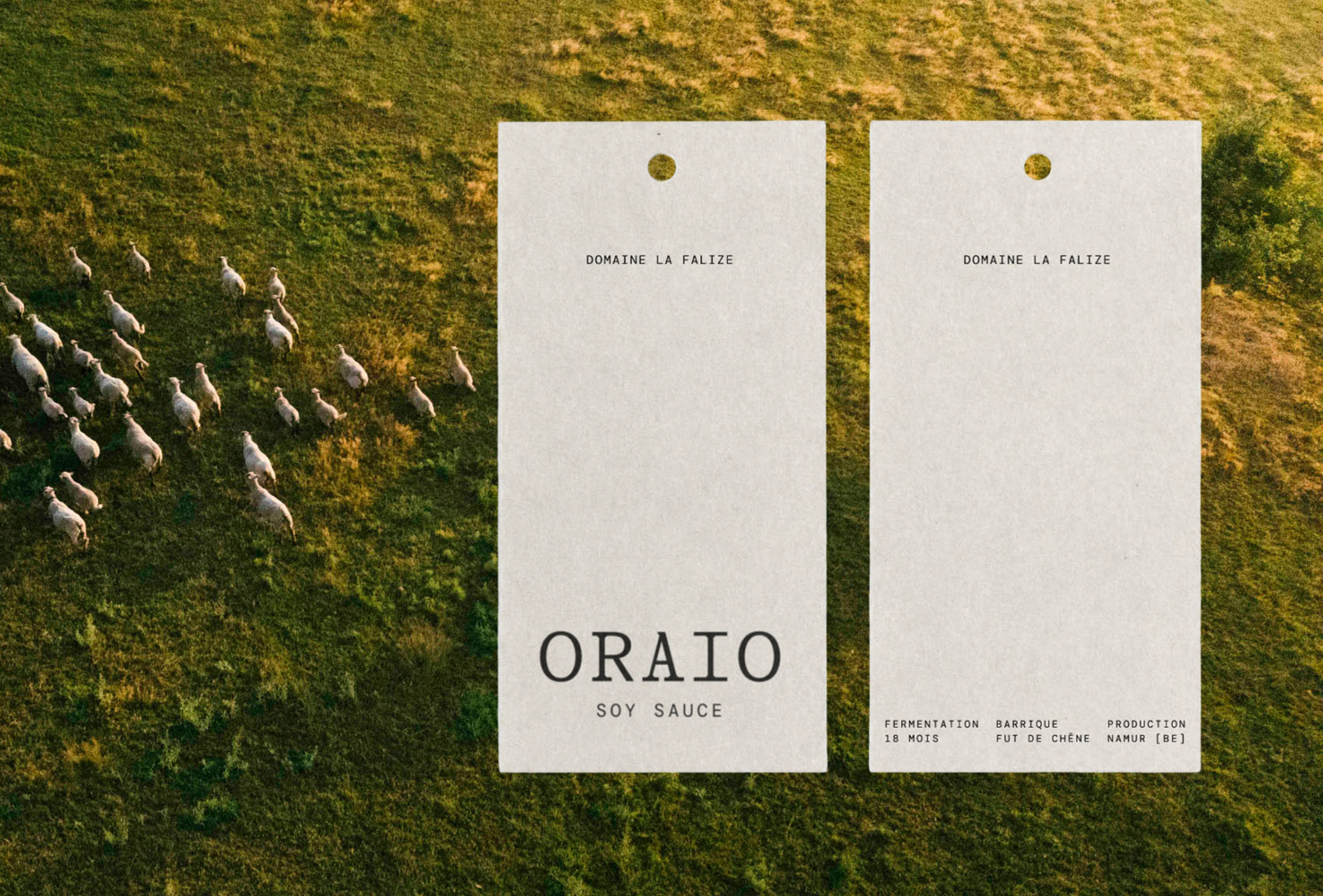 Oraio on Visual Journal