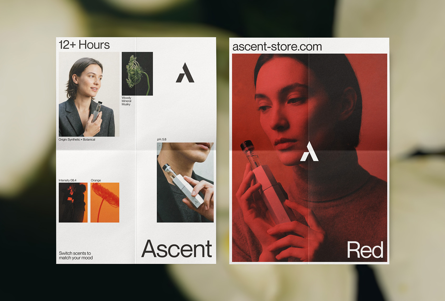 Ascent on Visual Journal