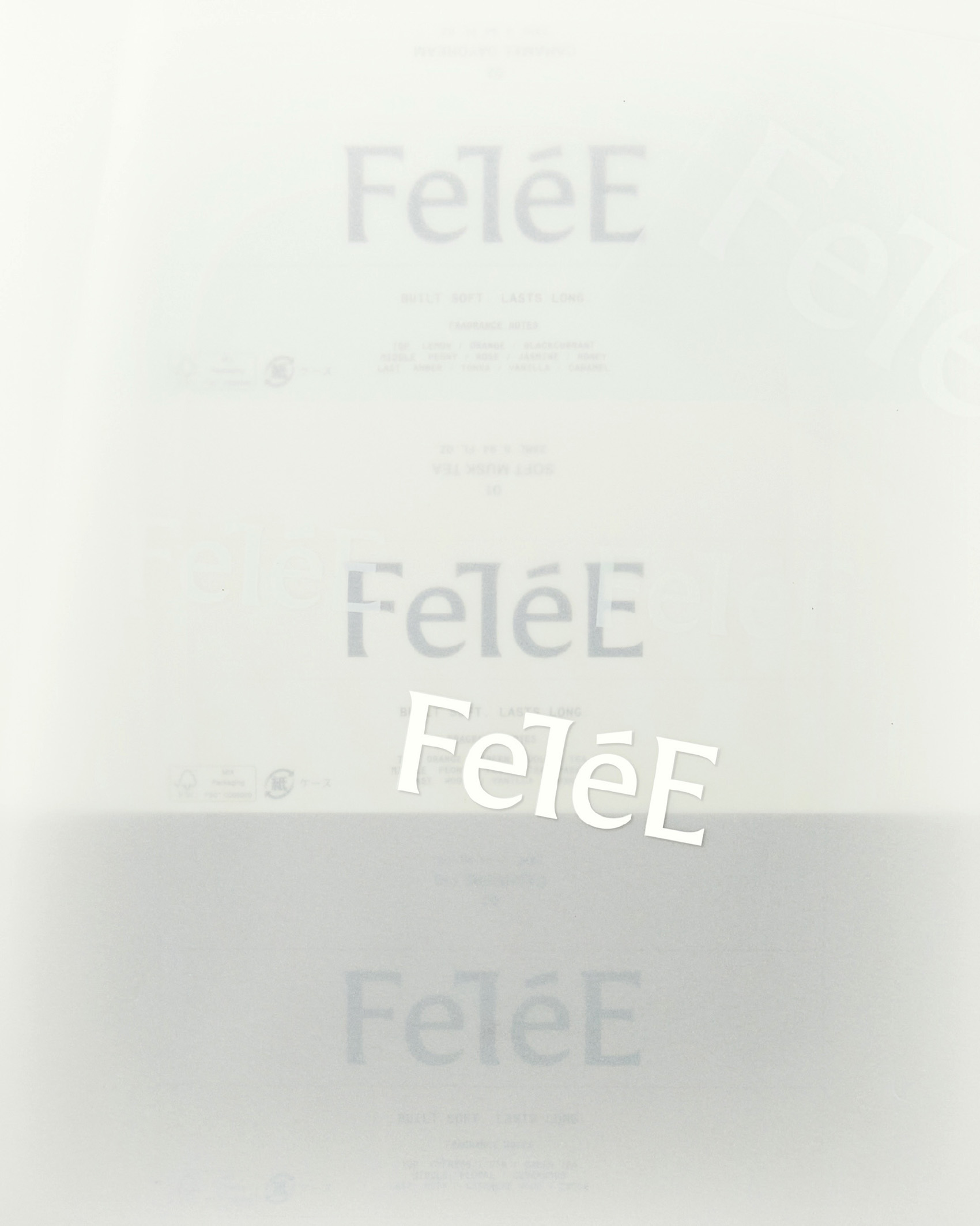 FeT&eacute;E brand identity by Curated Studio - Visual 4