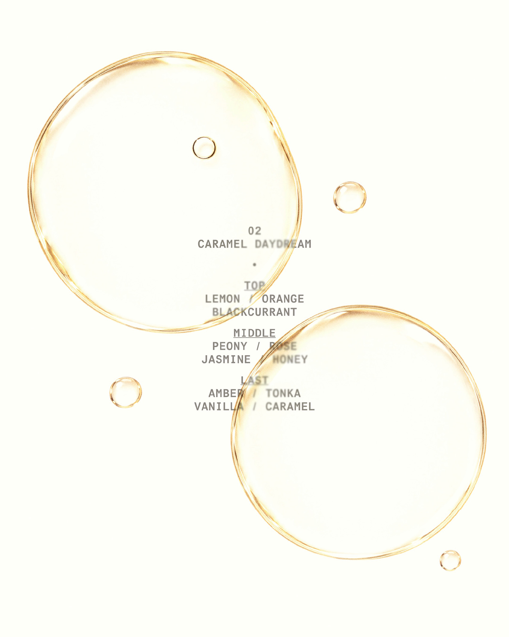 FeT&eacute;E brand identity by Curated Studio - Visual 5