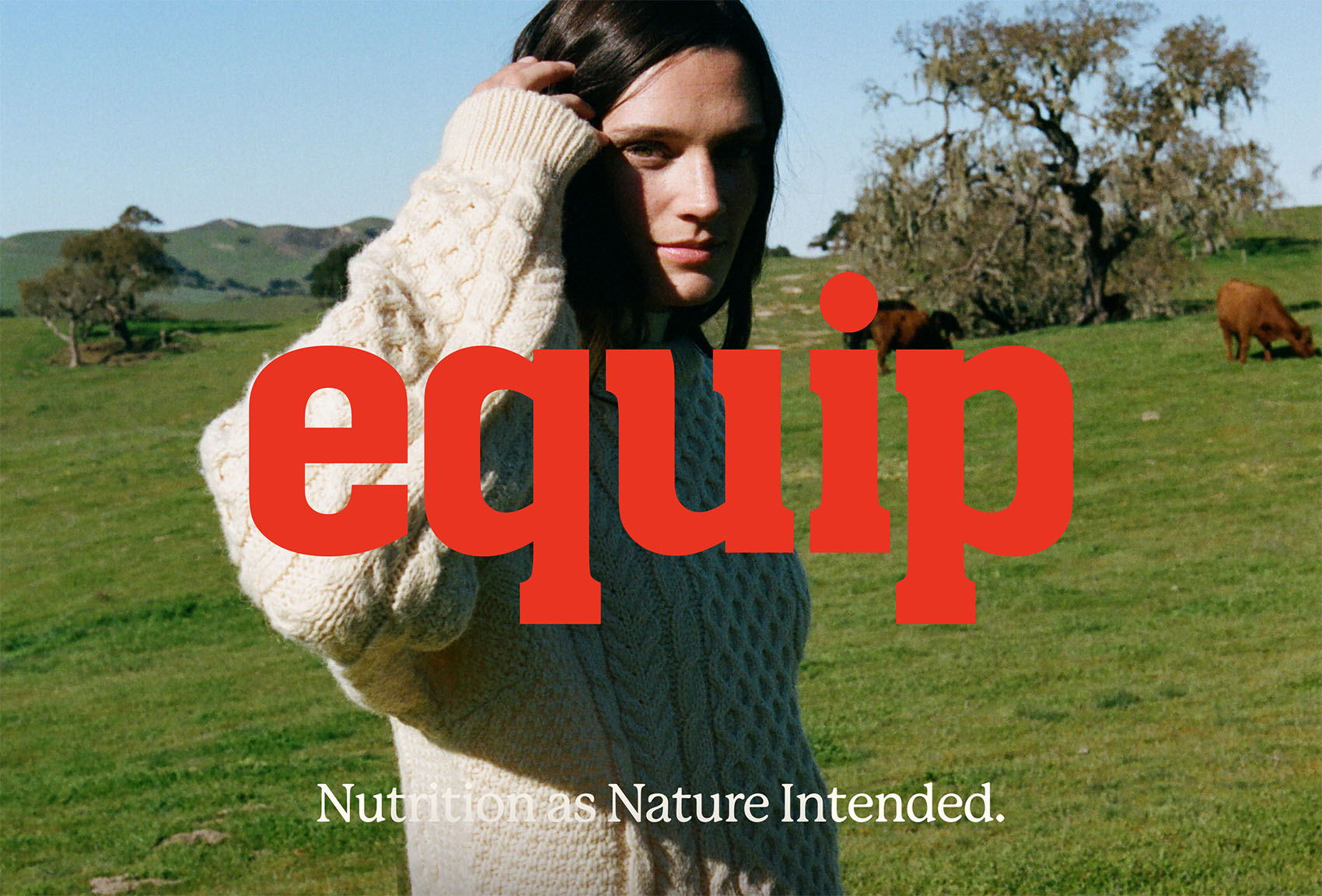 Equip on Visual Journal