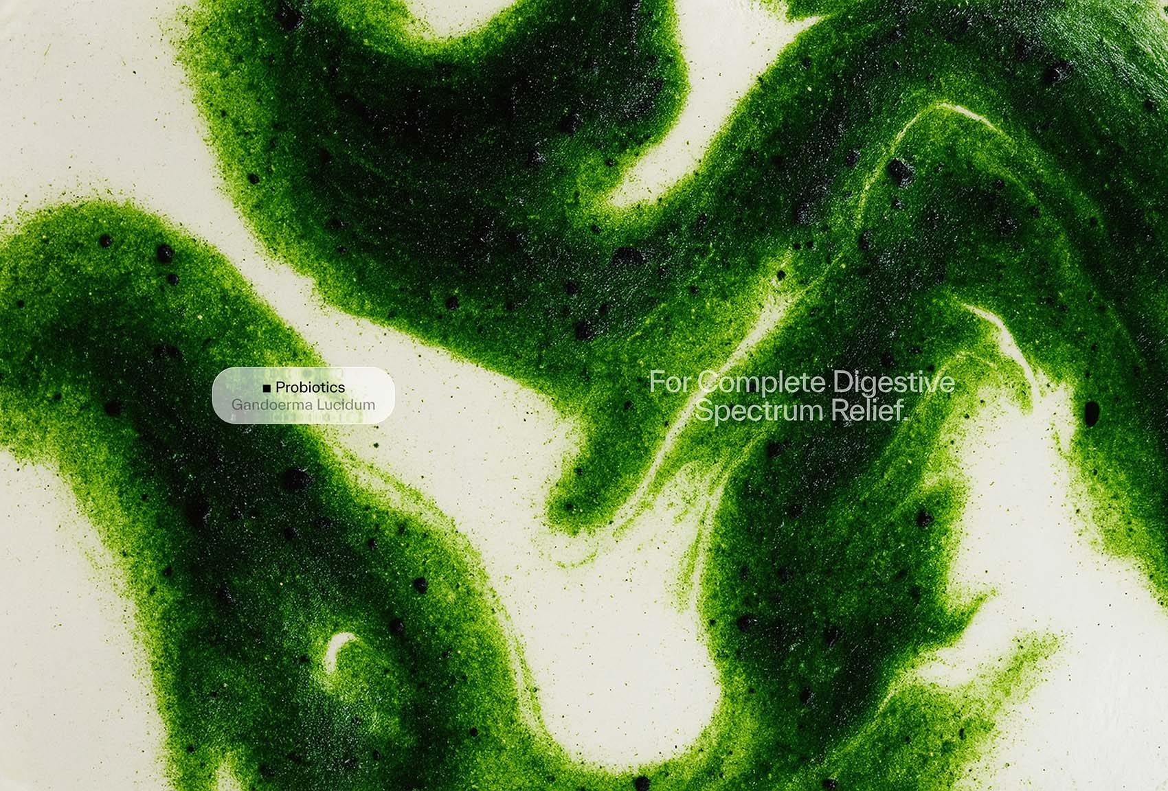 Trelli on Visual Journal