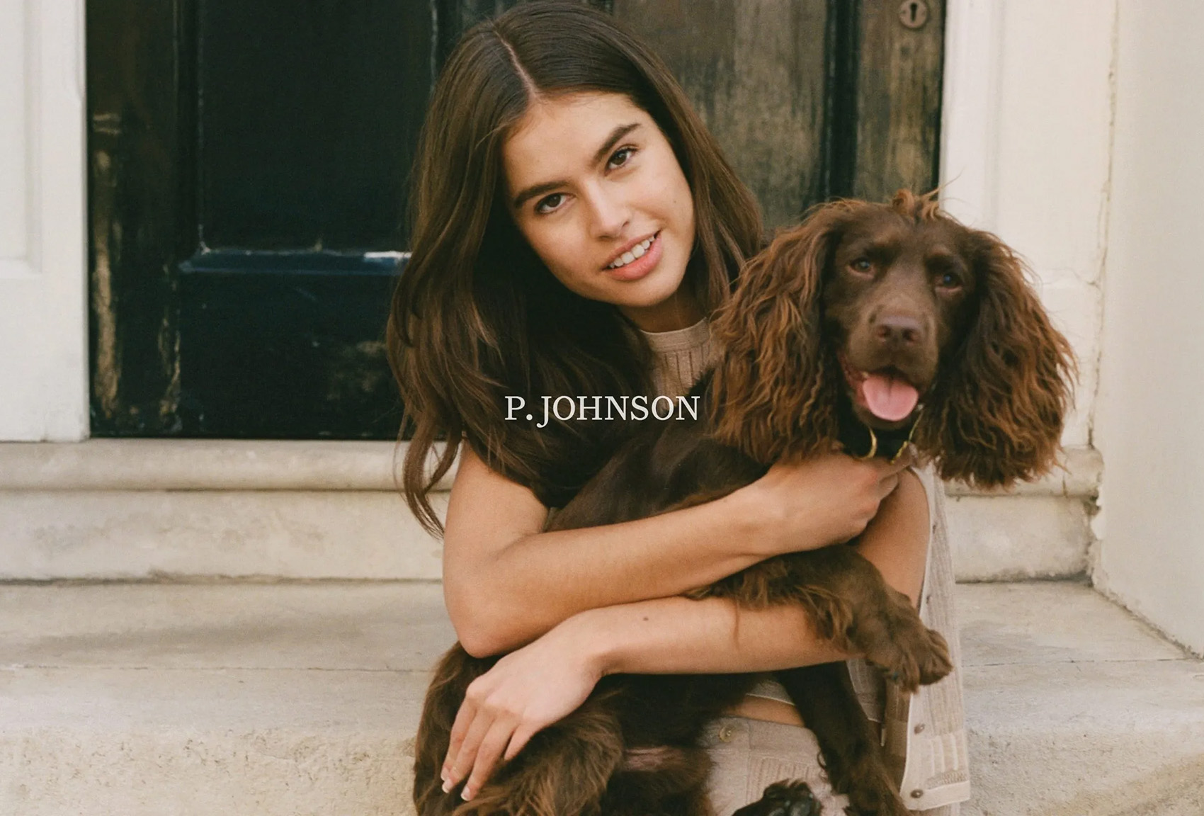 P.Johnson on Visual Journal