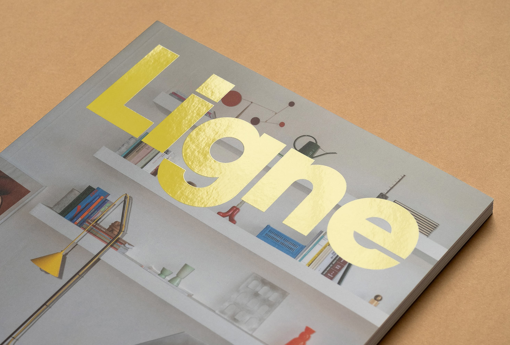 Ligne on Visual Journal