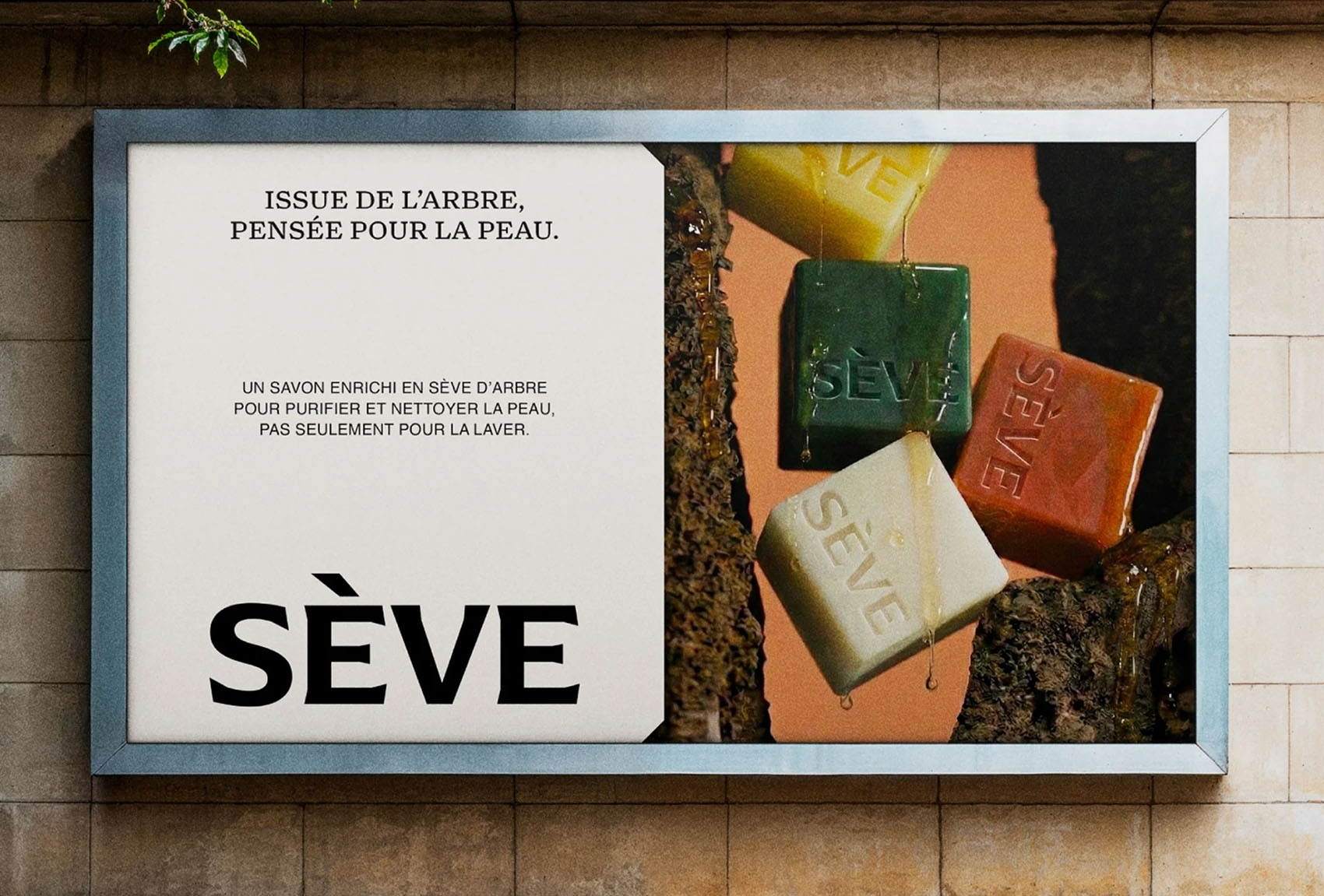 S&Egrave;VE on Visual Journal